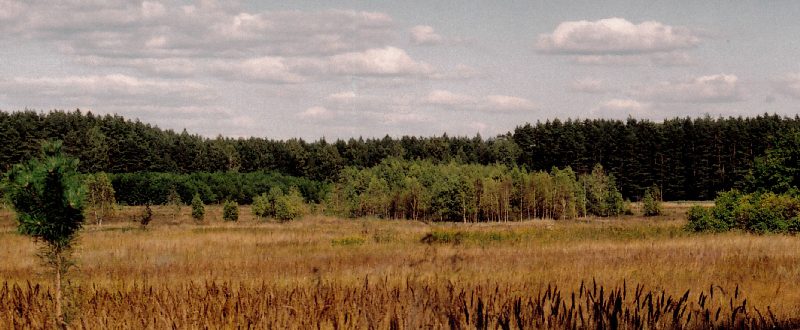 Masuren mit dem Wankel-Gespann