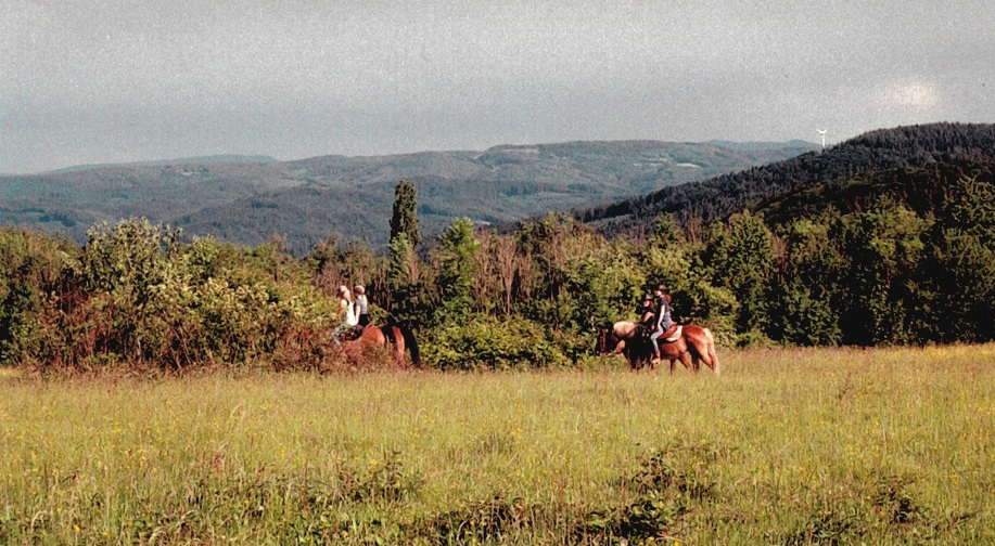 Jahrestreffen Wankel IG 2018