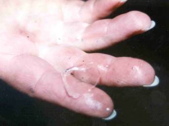 Das glaubt uns wieder kein Mensch!